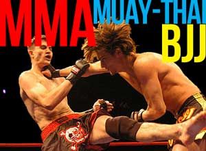 Home mma bjj muay thai mixed martial arts mumbai home Home